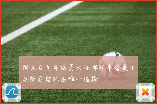 国米合同年球员大洗牌姆希塔良主动降薪留队成唯一选择