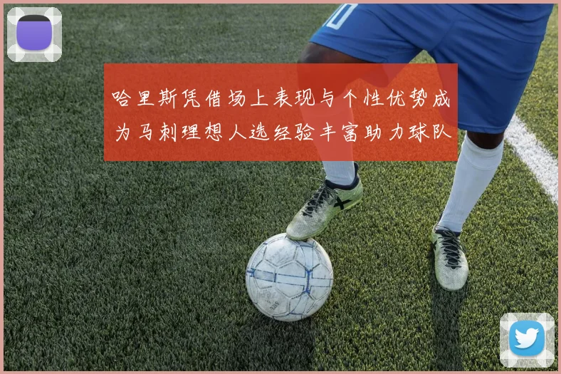 哈里斯凭借场上表现与个性优势成为马刺理想人选经验丰富助力球队发展